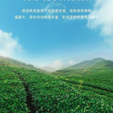 Spring High Mountain Tie Guan Yin Oolong Tea Premium Orchid Aroma Loose Leaf