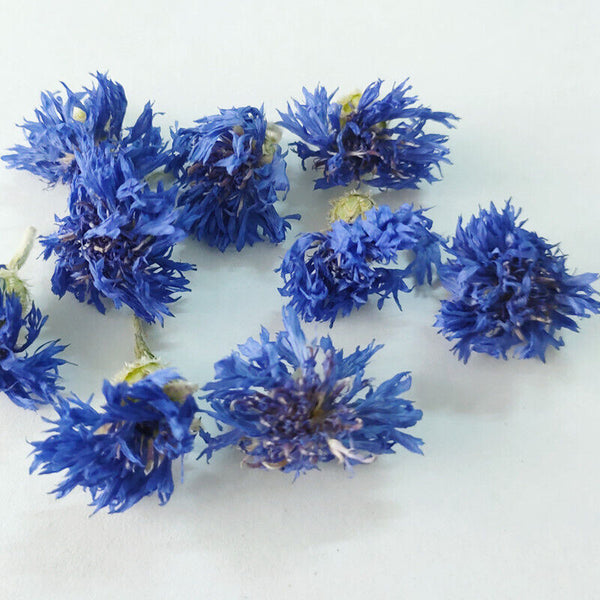Cornflower petals new stock cornflower dried flowers bulk cornflower 17.6oz