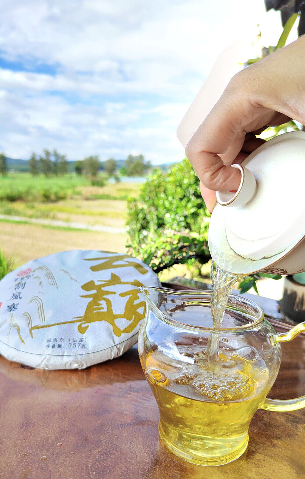 Scraping Walled Pu'er Tea Cake Yiwu Ancient Tree Raw Tea First Spring Yunnan Tea