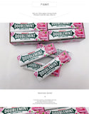 Rose Mint DOUBLEMINT Kaugummi 5pcs x 20 Portable Pack für frischen Atem