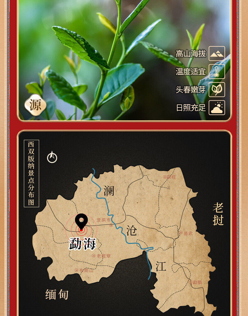 Pu'er Tea Old Banzhang Longzhu Tea Pu'er Ripe Tea Small Tuo Tea 250g