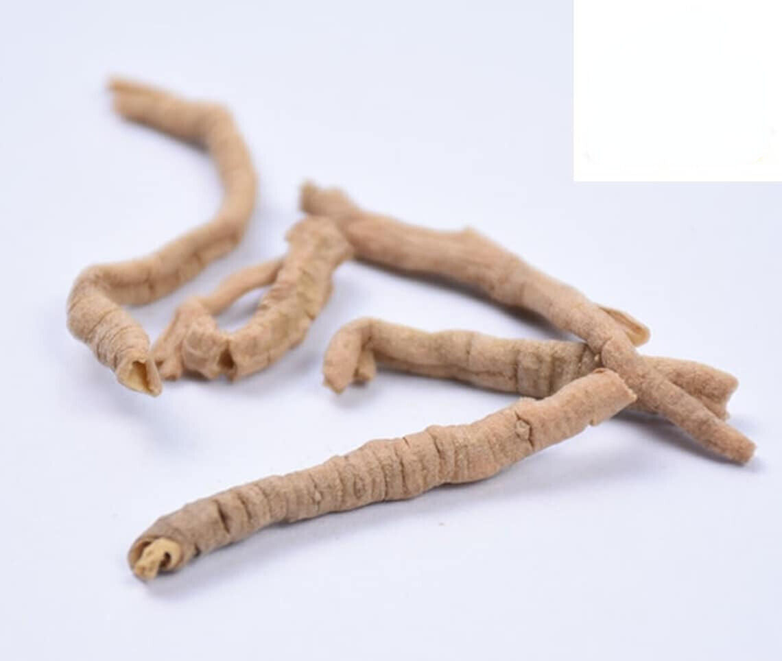 Yuan Zhi /远志/ High Quality / Polygala Root / Polygala tenuifolia Willd 1.1lb Main image