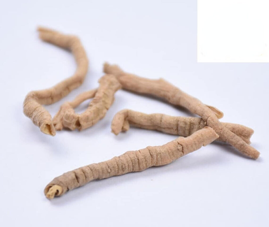 Yuan Zhi /远志/ High Quality / Polygala Root / Polygala tenuifolia Willd 1.1lb