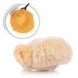 100% Biologische natürliche Löwen Mähne Pilz Hericium Erinaceus Hou Tou Gu 250G