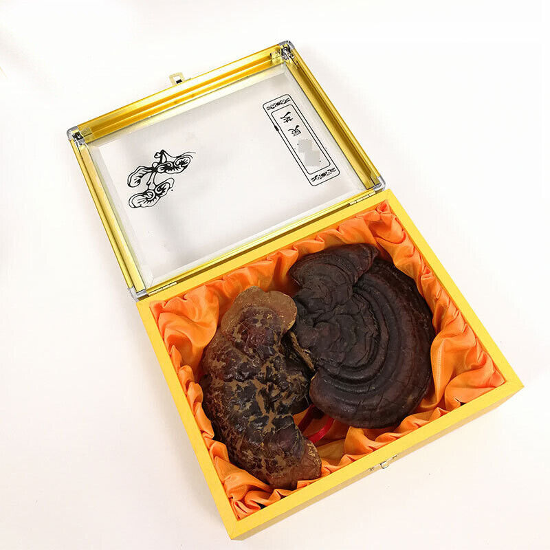 Black and Purple Reishi Mushroom Gift Box Whole Stem Ginseng Main image