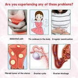 Herbal Womb Wellness Tea 20Pcs Natural Womens Health Premium Detox Blend