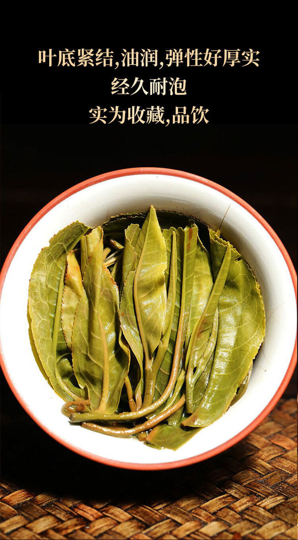 357g Understood Pu'er Raw Tea Yunnan First Spring Ancient Tree Pu'er Cake Tea