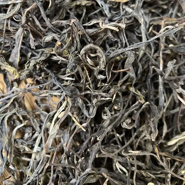 Yunnan Sheng Puerh Loose Tea From Iceland 300 Years Old Tree Raw Puer Tea 500G