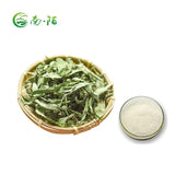 Natural Stevia Leaf Powder Dried Plant Extract Herbal