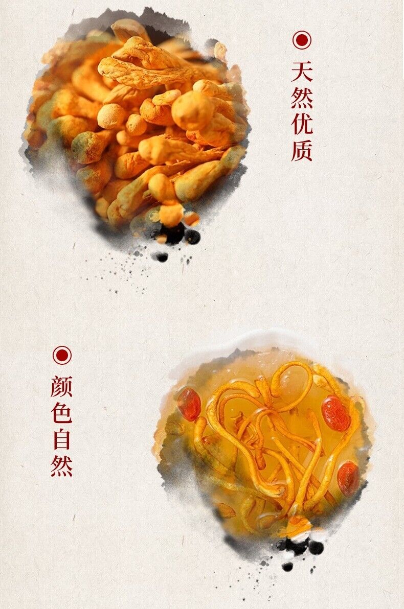 North Cordyceps Flower Dried Premium Quality for Soup Chicken Stew Fresh Herbal
