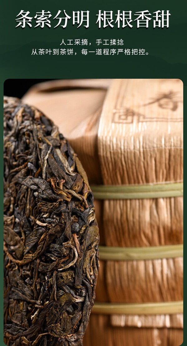 Tangli Spring Puer Raw Tea Cake Ziling Peacock Puerh Grain Tea Big Leaf Tea 200g