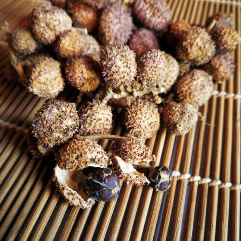 100g Chun Sha Ren Spring Sandnut Dried Fruit Healthy Herbal Tea 煲汤泡茶 泡酒养胃养生茶调理肠胃