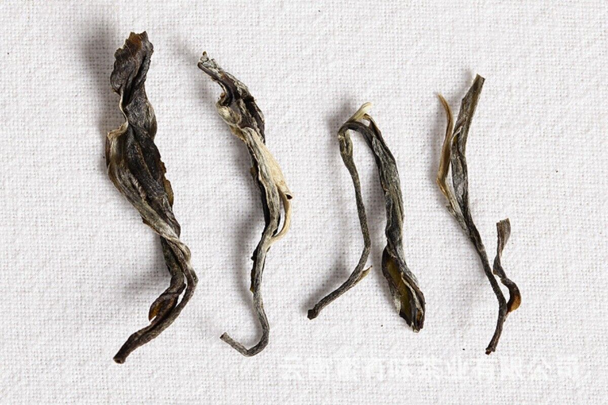 Yunnan Puerh Tea, Qiaomu Tea Spring Tea 500g