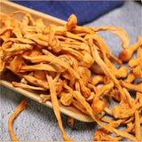 North Cordyceps Flower Dried Premium Quality for Soup Chicken Stew Fresh Herbal