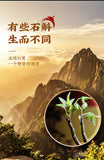 100% Pure Dendrobium Ironbark Powder Dendrobium Officinale Grinding Powder 50g