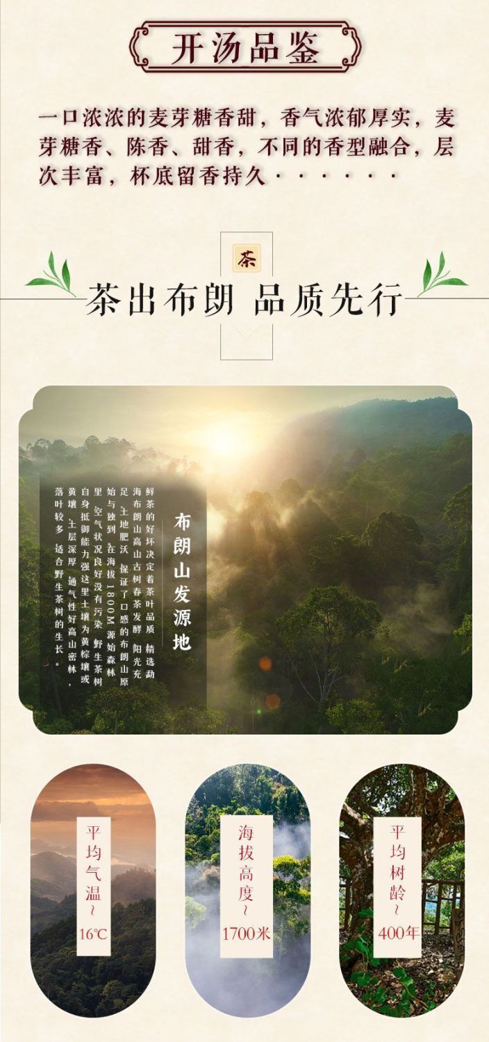Yunnan Puerh Tea Ripe Tea Brick Tea Aged Tea Woody Fragrance 250G