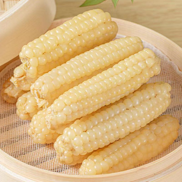 Yunnan Xishuangbanna Thumb Corn – Grade A Sticky Dai Specialty (500g)