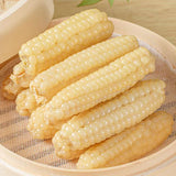 Yunnan Xishuangbanna Thumb Corn – Grade A Sticky Dai Specialty (500g)