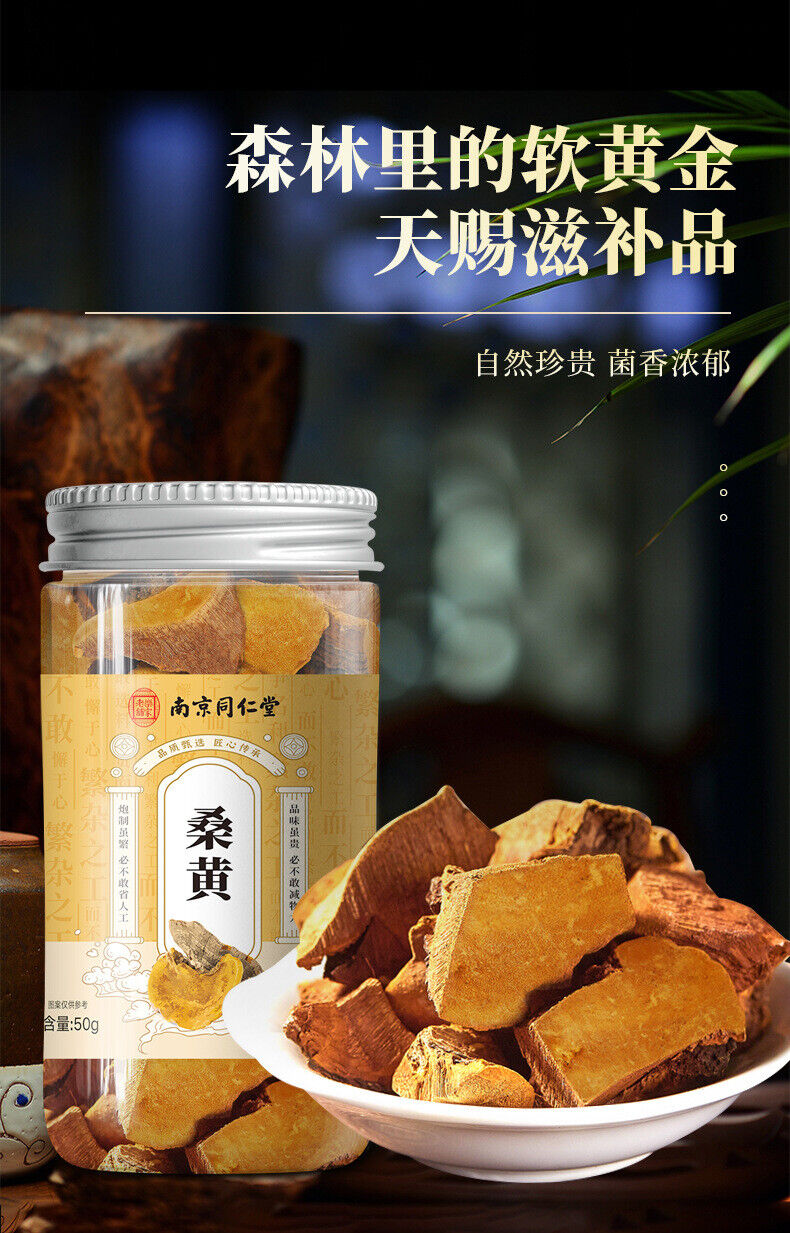 Natural Sanghuang Phellinus Linteus Chinese Herbal Tea Health Tea 50g