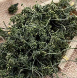 Ginseng Flower Tea, Panax Ginseng Of Flowers, Ginseng Flower Nature Herbal Tea