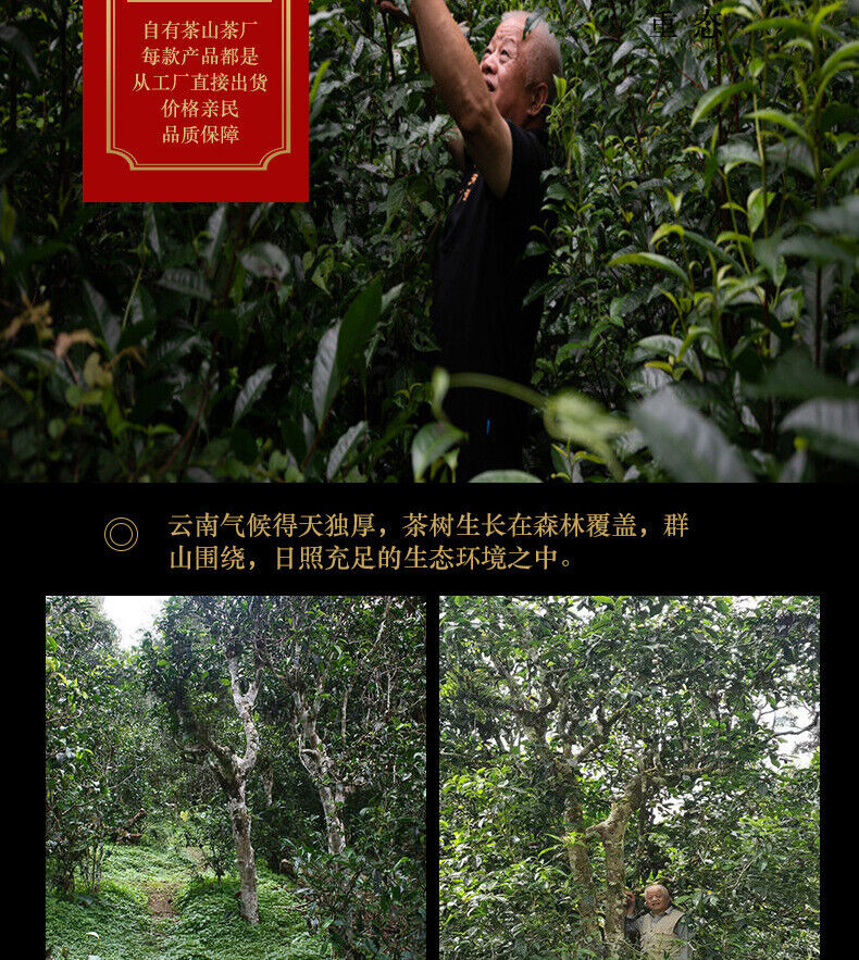 200g Tianxiang BrownMountain Ripe Cake Yunnan Menghai Pu'er Seven Hand Torn Cake