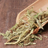 Organic Herbal Common Clubmoss Herb Herbal Lycopodii Great Quality