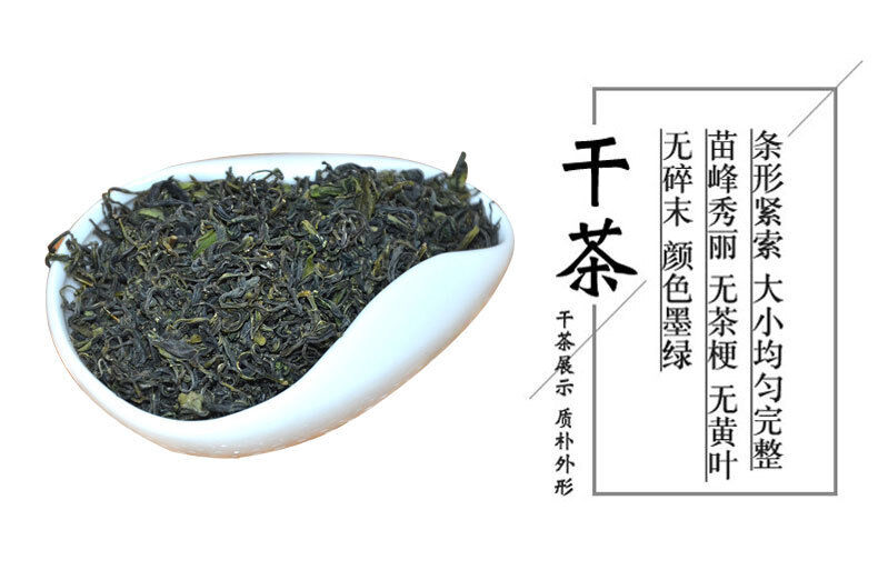 Rizhao Green Tea New Tea Strong Fragrance and Brewing Resistance 500g/1.1lb