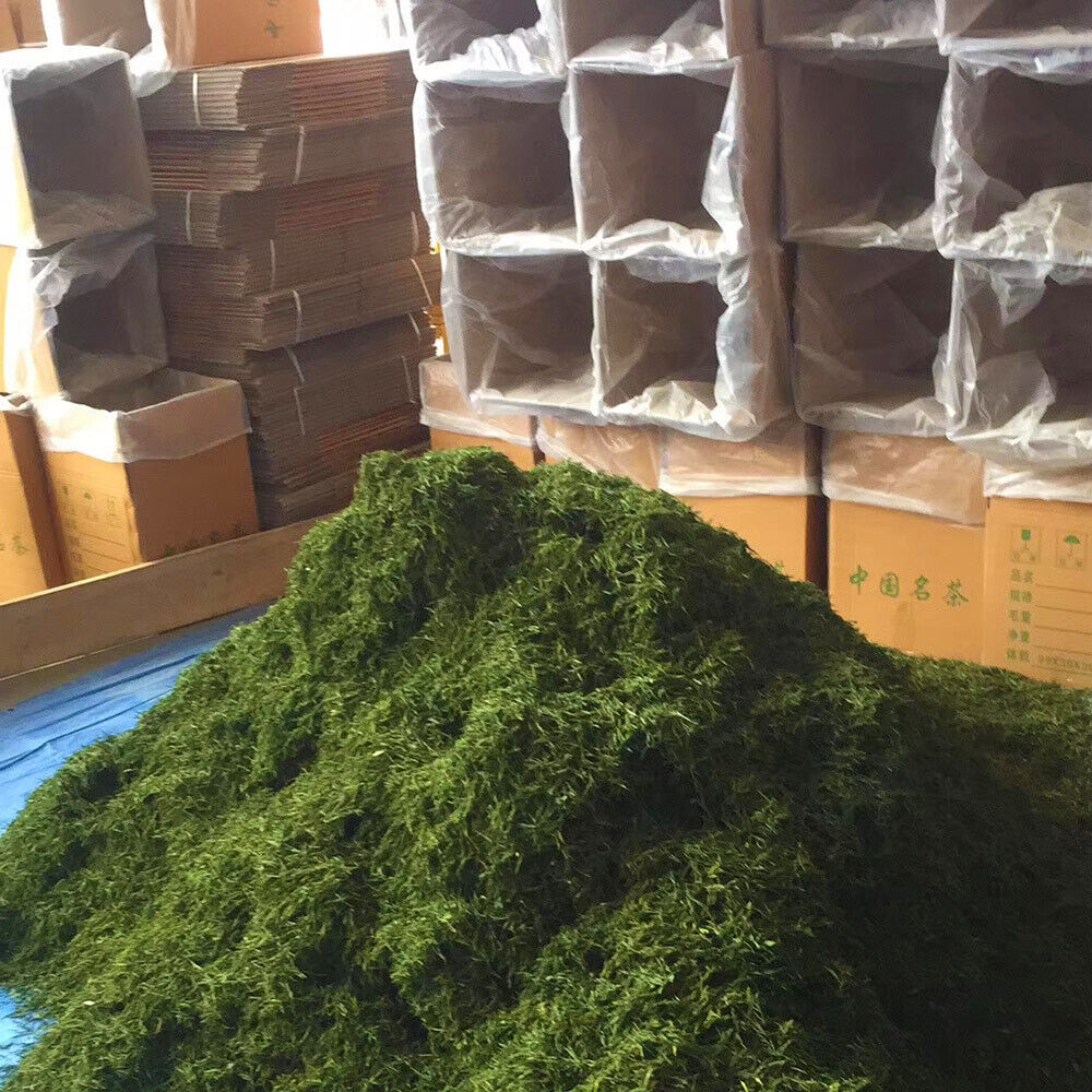 New Tea Steamed Green Tea Yulu Sencha Matcha Powder Genmaicha 500g/1.1lb