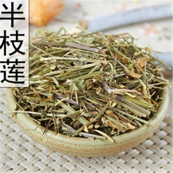 Scutellaria barbata Ban Zhi Lian 250g Kraut Scutellaria Schädel Kappe Kraut