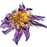 Natural Base Planting Pesticide Free Chinese Herb Dried Blue Lotus Flower