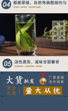 Orthosiphon Aristatus Golden Grass Tea 50g Canned - Kidney Health Herbal Tea