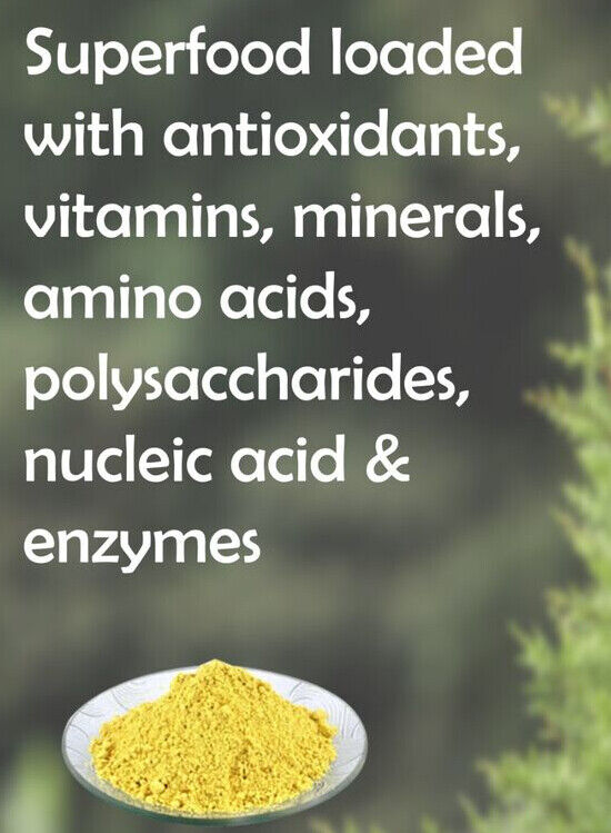 Pine Pollen Powder Non Gmo 1.1lb