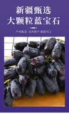 Chinese Large Sapphire Raisins 100g Seedless Black Grape Sun Dried