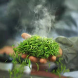 Fragrant Tea Alpine Yunwu Green Tea Wholesale Rizhao Fried Green Strong Tea