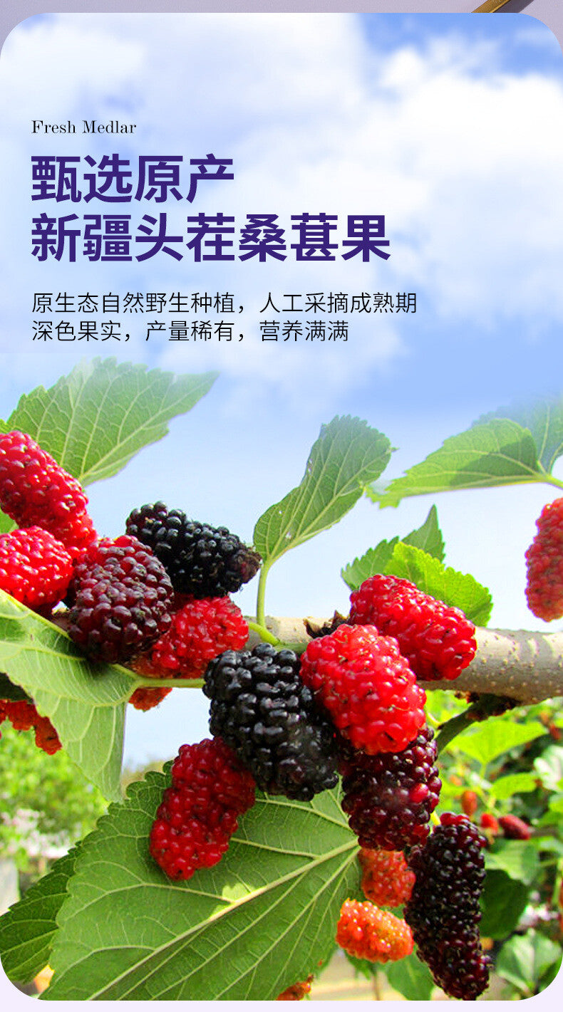 Ningxia Black Goji Herbal Drink,Mulberry Puree Sea Buckthorn Goji Berry Juice