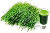 HELLOYOUNG Pure Fresh Green Wheat Grass Powder 500G -100% Pure, Strong Flavour