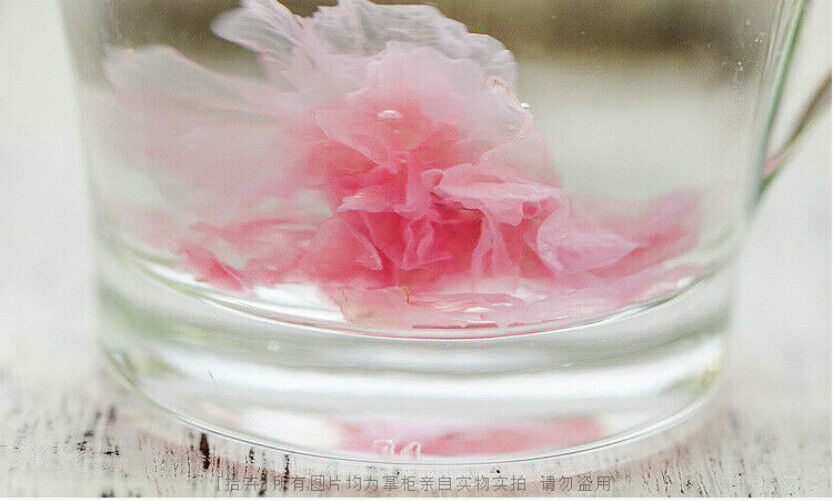 Weißer Tee Japanese Salted Sakura Cha Pink Cherry Blossoms Traditional Preserved