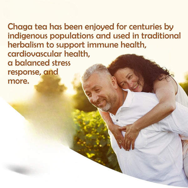 100g Pure Chaga Extract Powder Mushroom Supplement Chaga Mushroom Powder