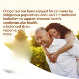 100g Pure Chaga Extract Powder Mushroom Supplement Chaga Mushroom Powder