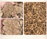 New He Shouwu Herbal Medicine Black Shouwu Slices 500g