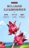 Yunnan Freeze-Dried Hibiscus & Rose Tea – Fresh Blooms for Flavorful Infusion