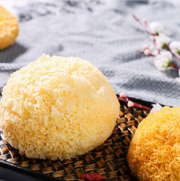 Great Tremella Fuciformis Edible Snow Fungus Ball Mushrooms Good for Health100g