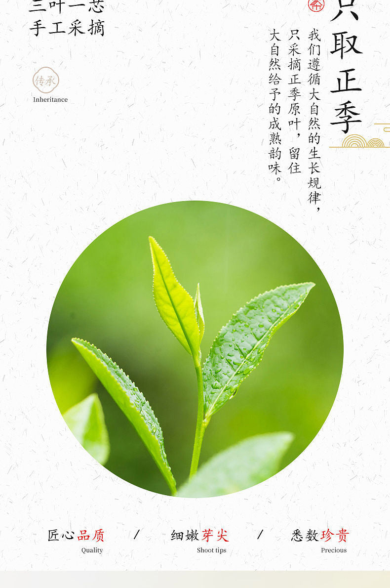 Fenggang Zinc Selenium Green Tea250g High Aroma Guizhou Cloud Mist Strong Flavor