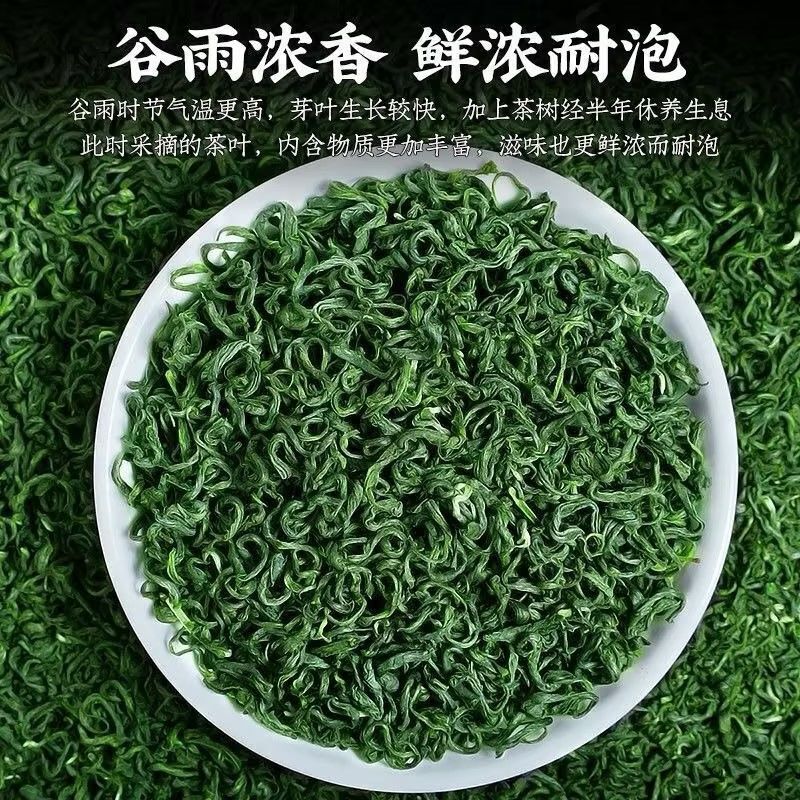 Premium Handcrafted Maojian Green Tea Authentic High Mountain Spring Tea 50g Can