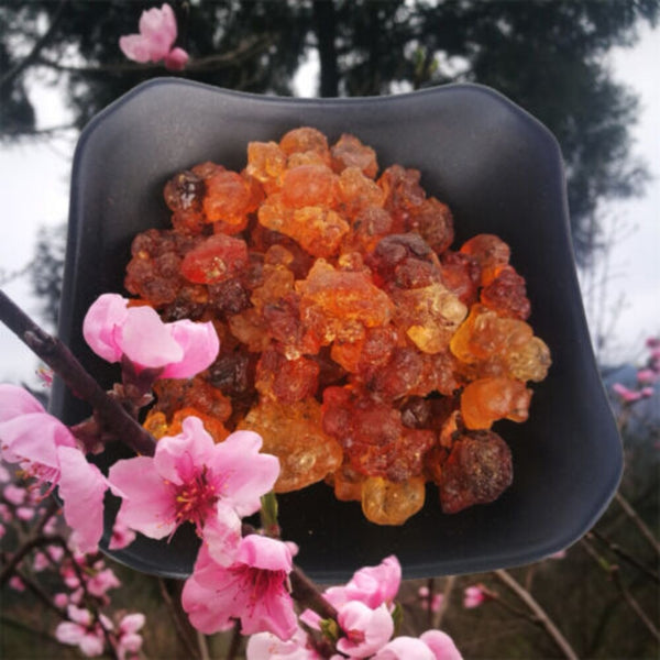 Wild and Natural TaoJiao Nourishing Gum Jelly for Skin Health and Edible Delight