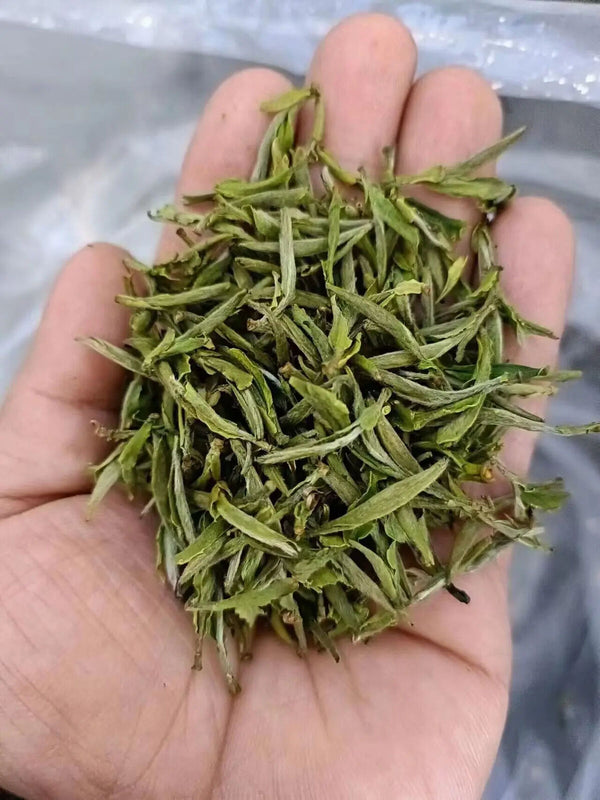 Premium Chinese Anhui Green Tea High Mountain Yellow Gold Tea Maofeng Green Tea