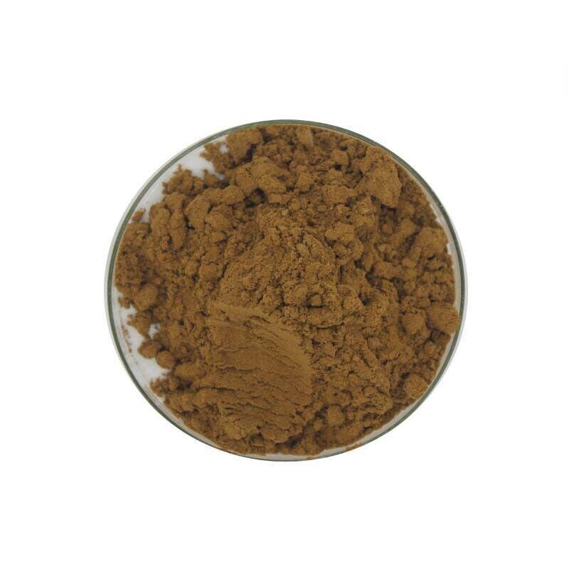 200g 10:1 Camphorata Extract Powder Antrodia Taiwanofungus camphoratus Main image