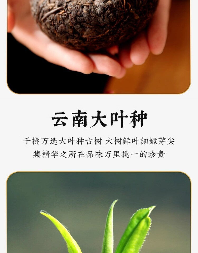 Tulin Phoenix Pu-erh Ripe Tea Yunnan Phoenix Tuocha 100g Aged Tree Wood Aroma