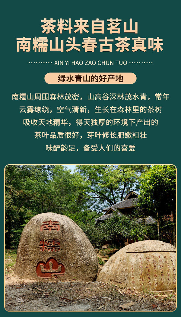 Pu'er Tea Raw Tea Early Spring Tea Big Tree Small Tuo Tea Yunnan Raw Pu'er 500g