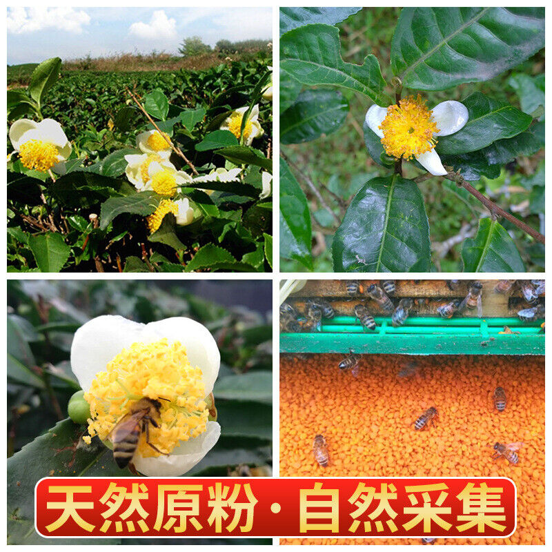 Yunnan Source Selected Granular Pu'er Spring Tea Pollen Soil Specialty 200g